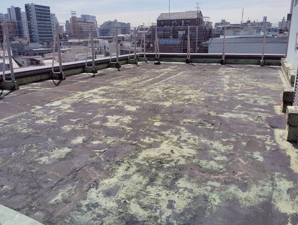 🔍 現地調査の様子です‼️