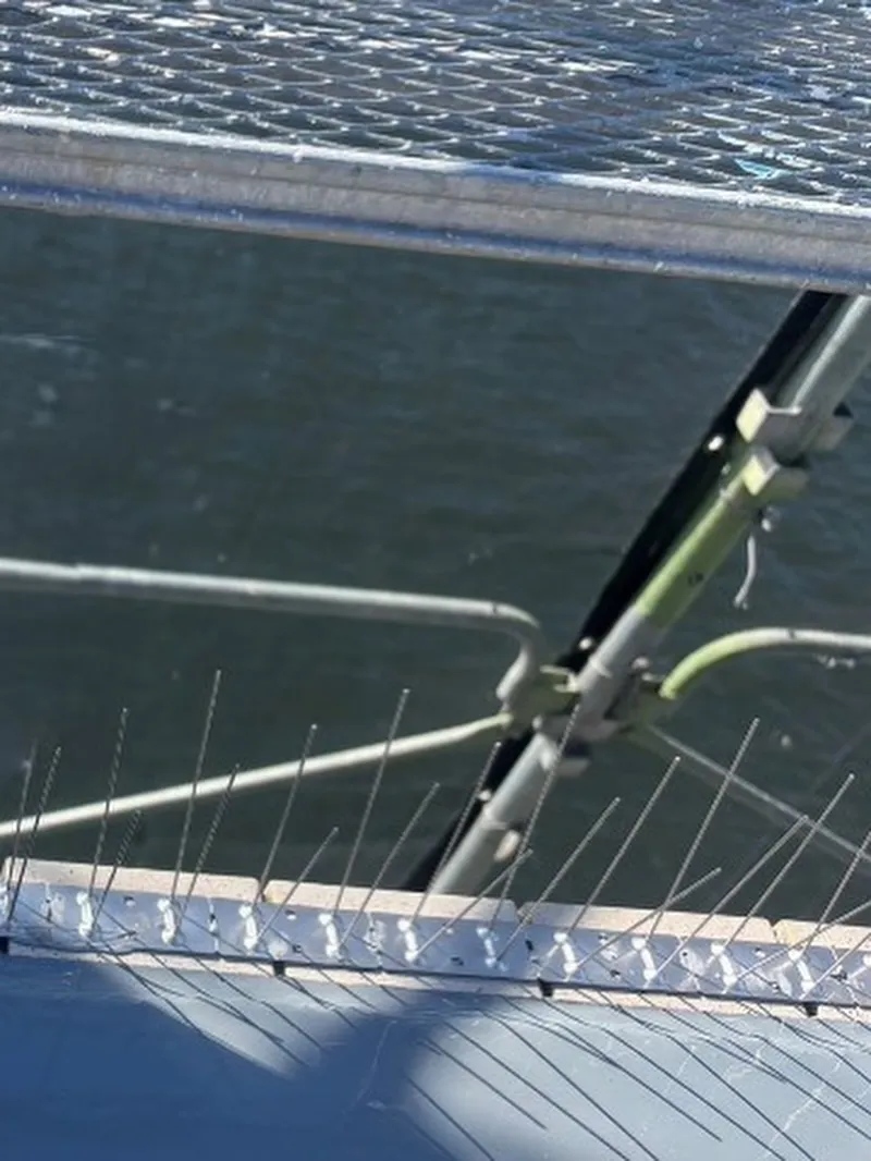 鳩よけ設置工事中の様子📸