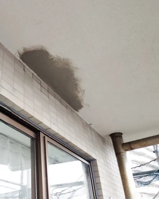 下地補修工事👷‍♂️