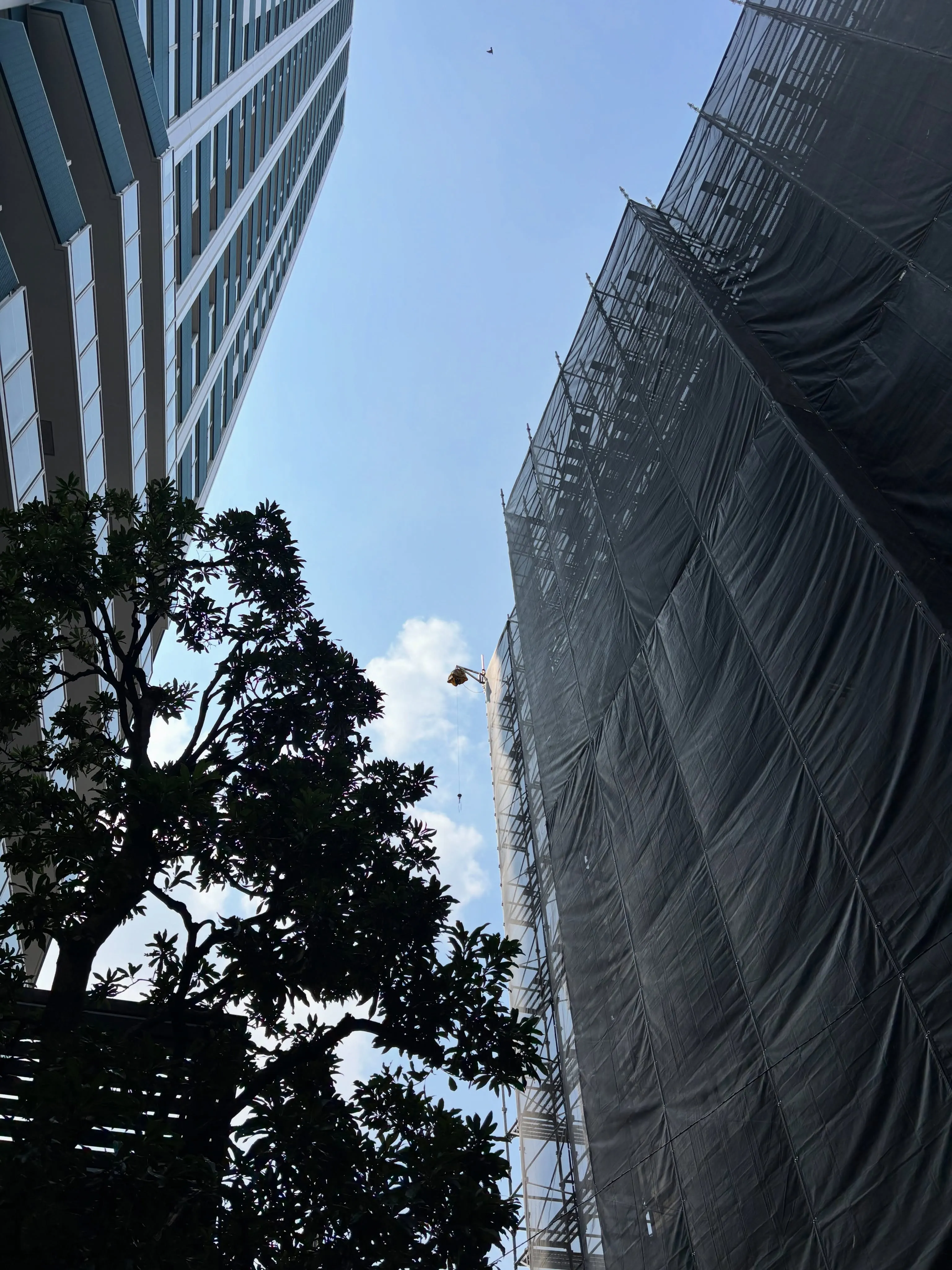 🏗️施工の様子